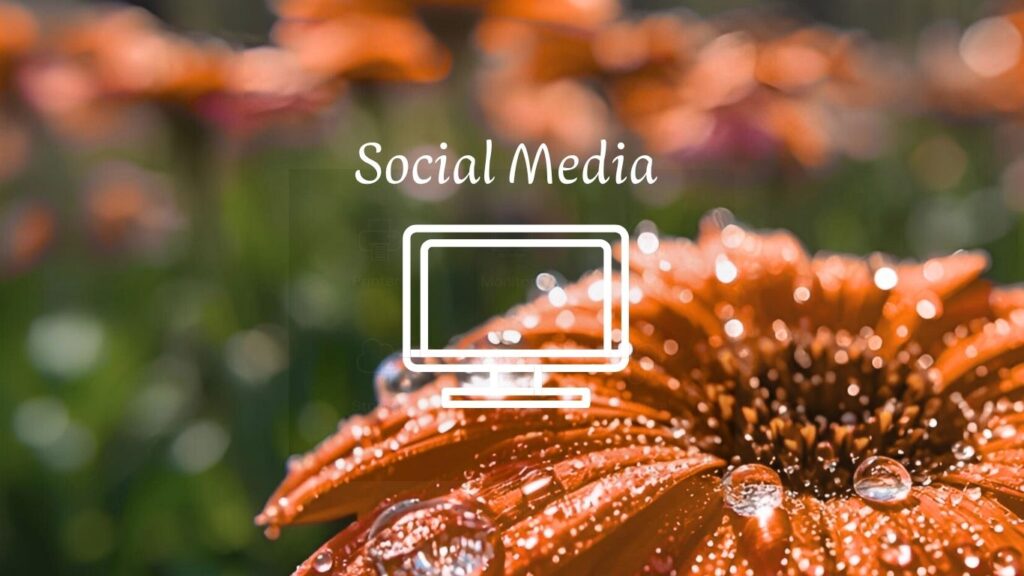 Independent Social Media Projects and a Company’s Business Interests.